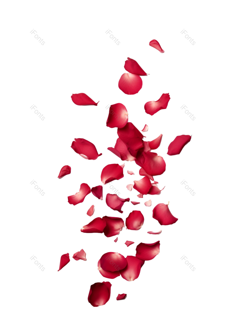 装饰图片,520元素,玫瑰花PNG,玫瑰免抠素材